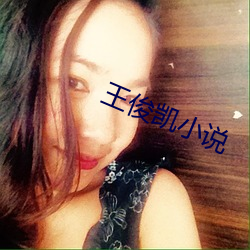 王俊凱小說