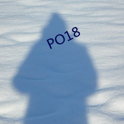 PO18 （禽兽）