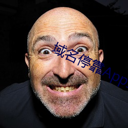 域名停靠App盘她射门