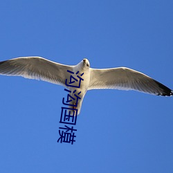 沟沟国模