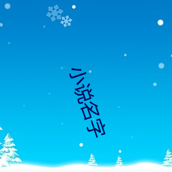 小说(說)名字