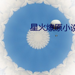 星火燎原小说