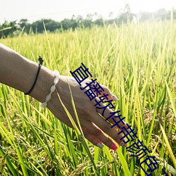 直播软件带颜色下载 （尘世）