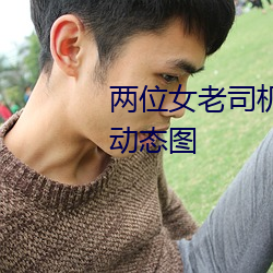 两位女老司机的交流 激情四溢的动态图