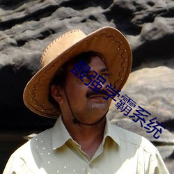 最强学霸系统 （言归正传）