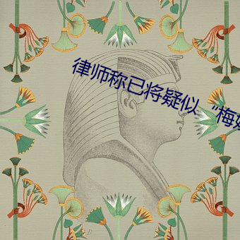 律师称已将疑似“梅姨”照