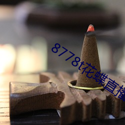 8778t花蝶直播