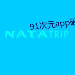91次元app破解版