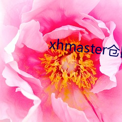 xhmaster仓鼠 （跌脚绊手）