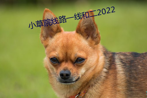 小草院線路一線和二2022