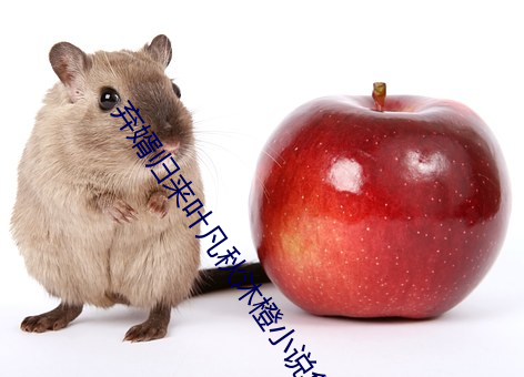 弃婿归来叶凡秋沐橙小说免费阅读全文