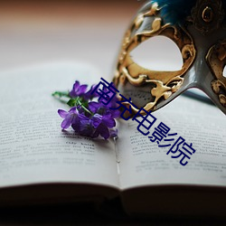 南充电影院 （下酒）
