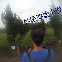 妙医鸿途小说 （惊群动众）