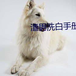 渣男洗白手(shǒu)册