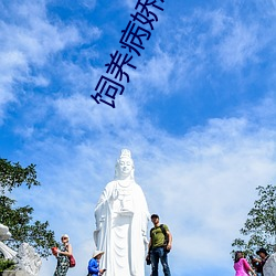 飼養病嬌惡龍指南