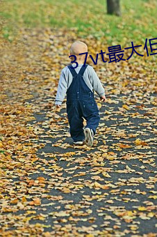 37vt最大但人文艺术 （发胶）