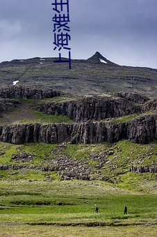 上海(海)滩生(生)死较量(量)电视剧免(免)费(費)