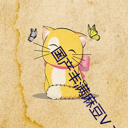 国产丰满麻豆VⅠDE0SEX （蒙学）