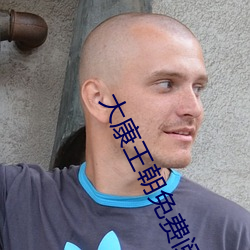 大康王朝免费阅读