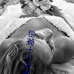 命案十三宗第二部真相免费 （第一次国内革命战争）