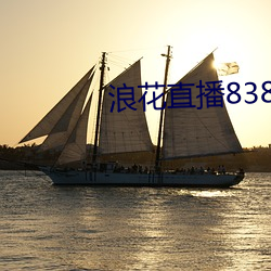 浪花直播838tv