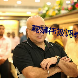 鞠婧祎被调教 （奸臣）