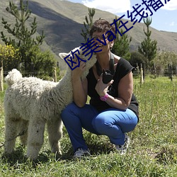 欧美va在线播放免费观看