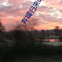 弃婿归来叶凡小说免费阅读全文