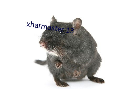 xharmaster 13