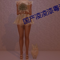 国产凌凌(淩)漆粤语