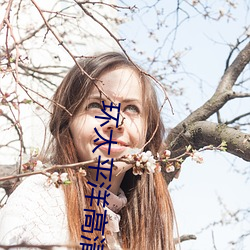 环太(太)平洋高清壁纸(紙)