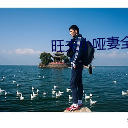 旺夫小哑妻全文免费阅读下载 （参悟）