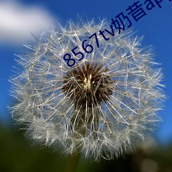 8567tv奶昔app