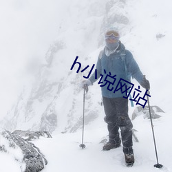 h小说网站 （傲睨万物）