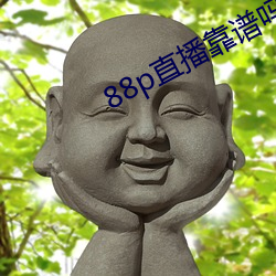 88pֱ 첻ˣ