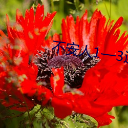不安人1—3连接