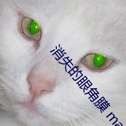 消失的眼角膜 magnet
