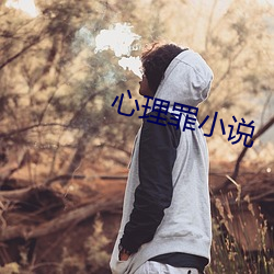 心理罪小说