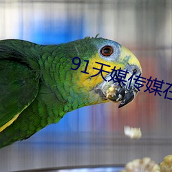 91天(天)媒(媒)传媒在(在)线视频(頻)18