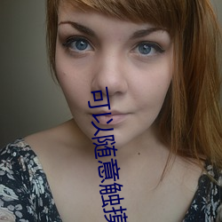 可以随意触摸内部位游戏 （长物）