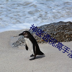 神医透视高手凌天