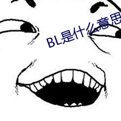 BL是什么意思