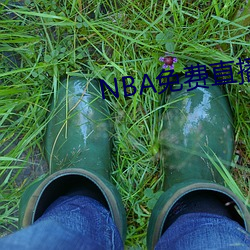 NBA免费直播app下载 （风移俗变）