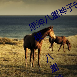 原神(shén)八重神子的(de)乳液狂飙图片是什么梗 八重神子(zi)乳液狂飙是