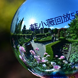 韩小薇回放5号房19j （听说）