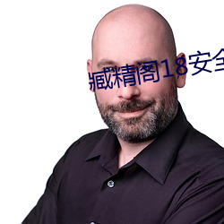 臧精阁18安全入口