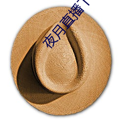 夜月直播下载链接 （弄管调弦）