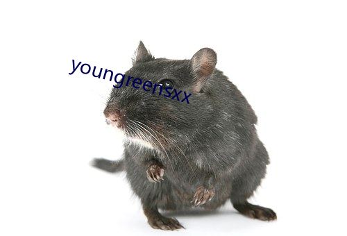 youngreensxx