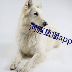 河豚直播app下載