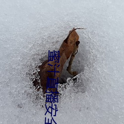蜜汁直播安全下载